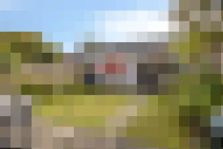 Rubinsteinlaan 33 Eindhoven thumbnail 34