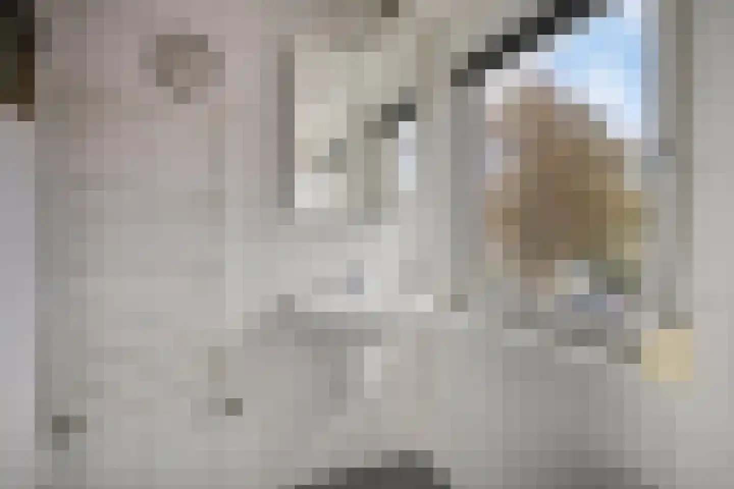 Rubinsteinlaan 35 Eindhoven thumbnail 22