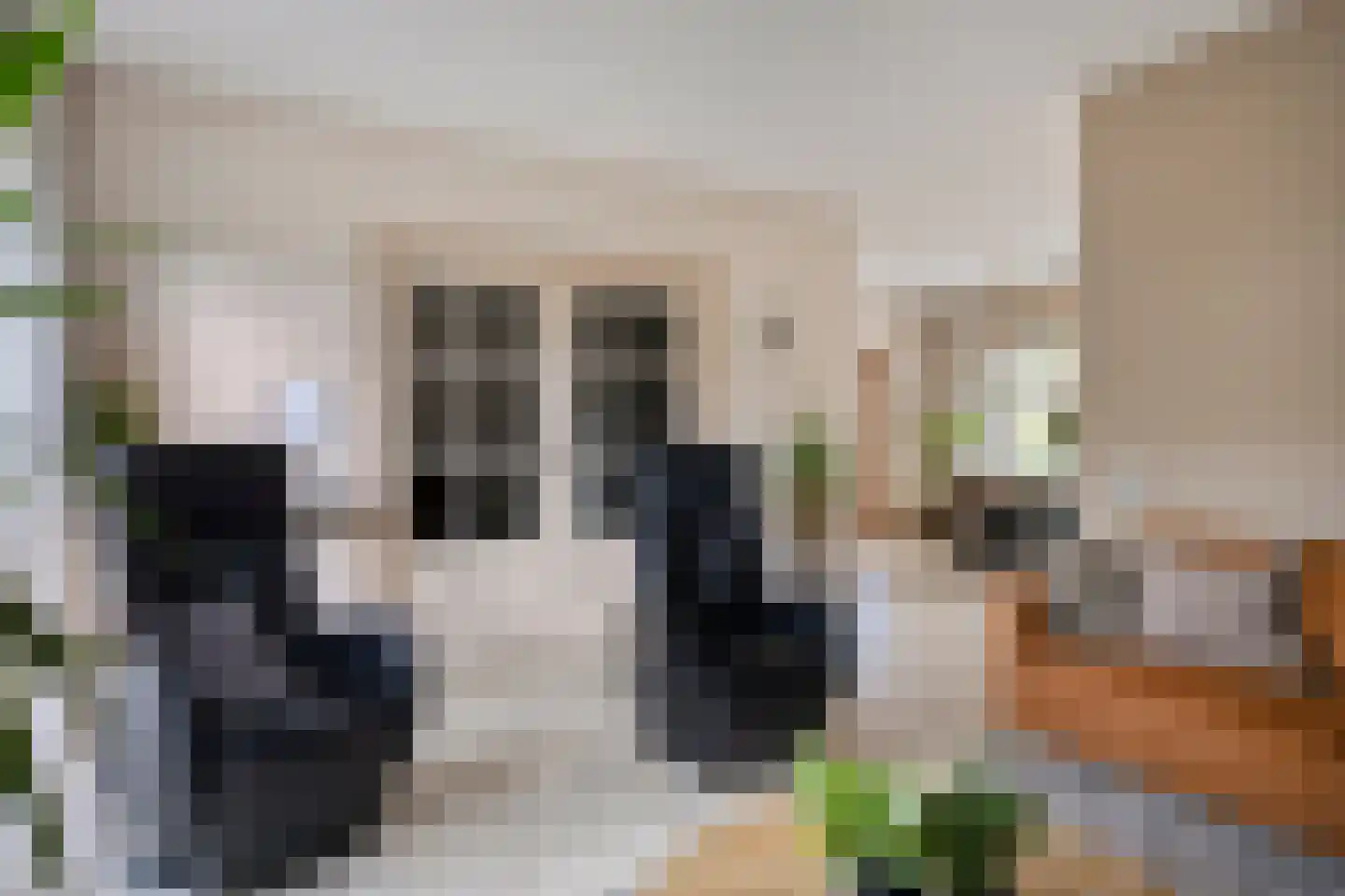 Rubinsteinlaan 35 Eindhoven thumbnail 8