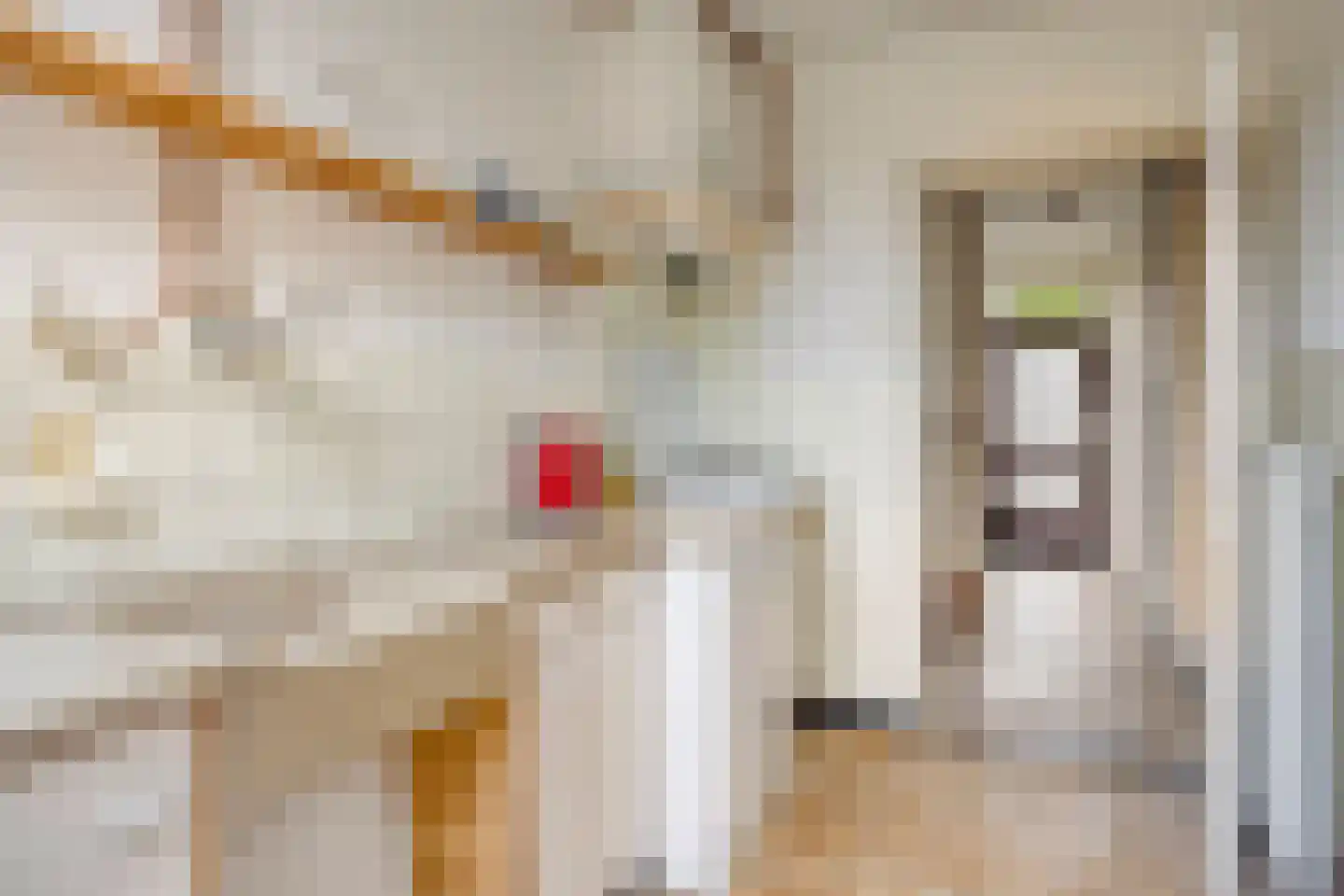 Rubinsteinlaan 43 Eindhoven thumbnail 16