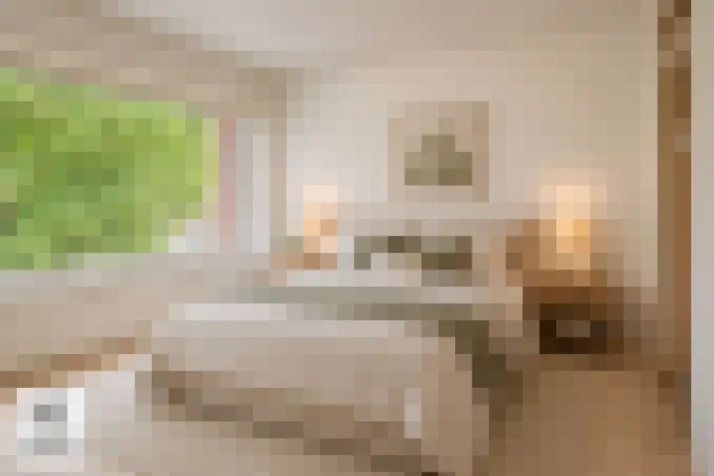 Rubinsteinlaan 43 Eindhoven thumbnail 21