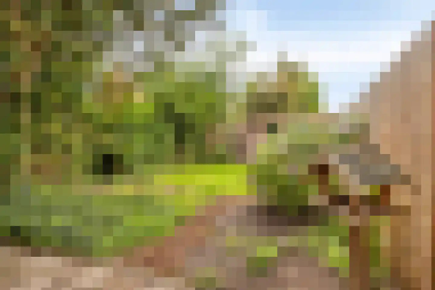 Rubinsteinlaan 43 Eindhoven thumbnail 38