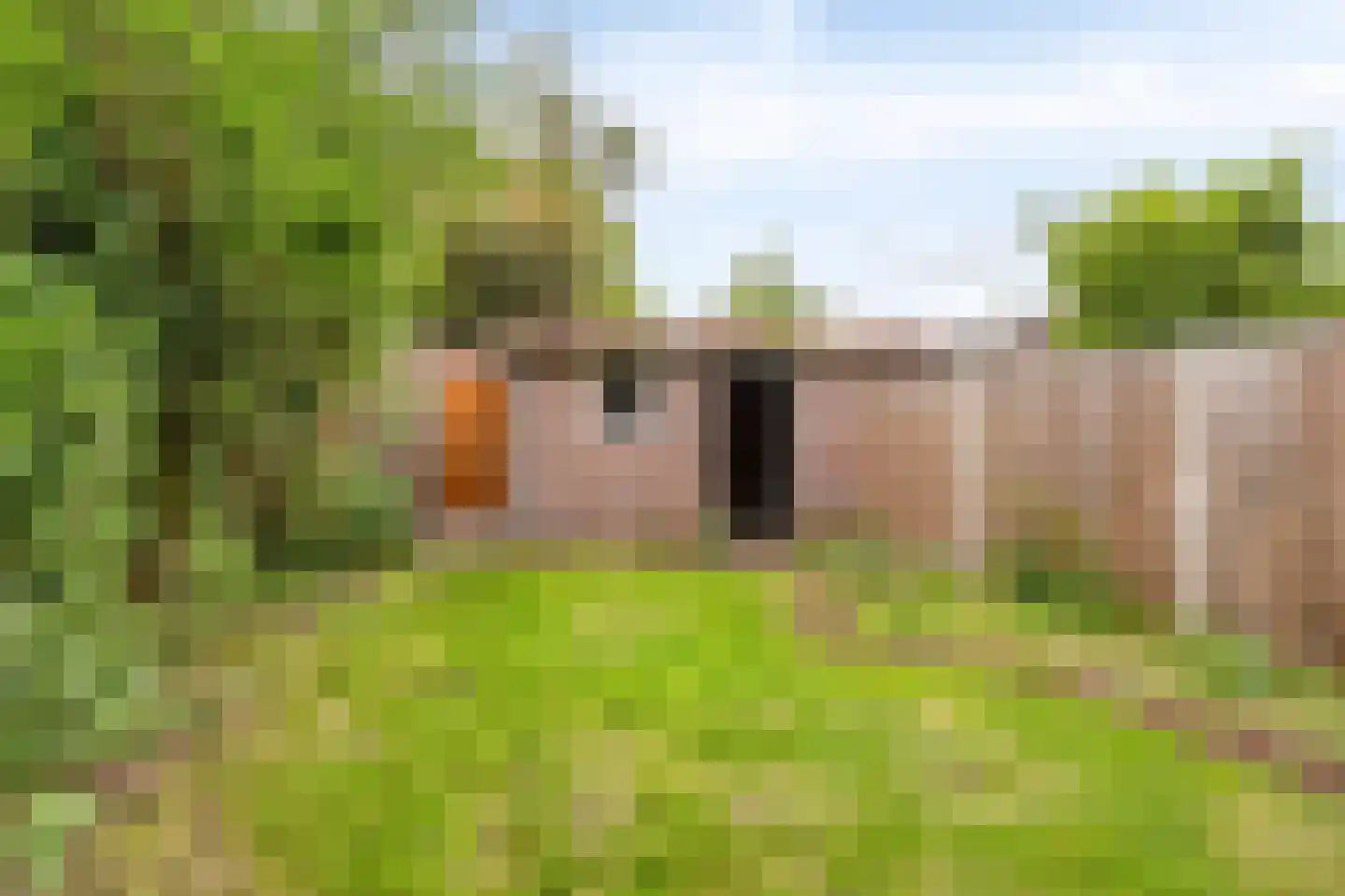 Rubinsteinlaan 43 Eindhoven thumbnail 39