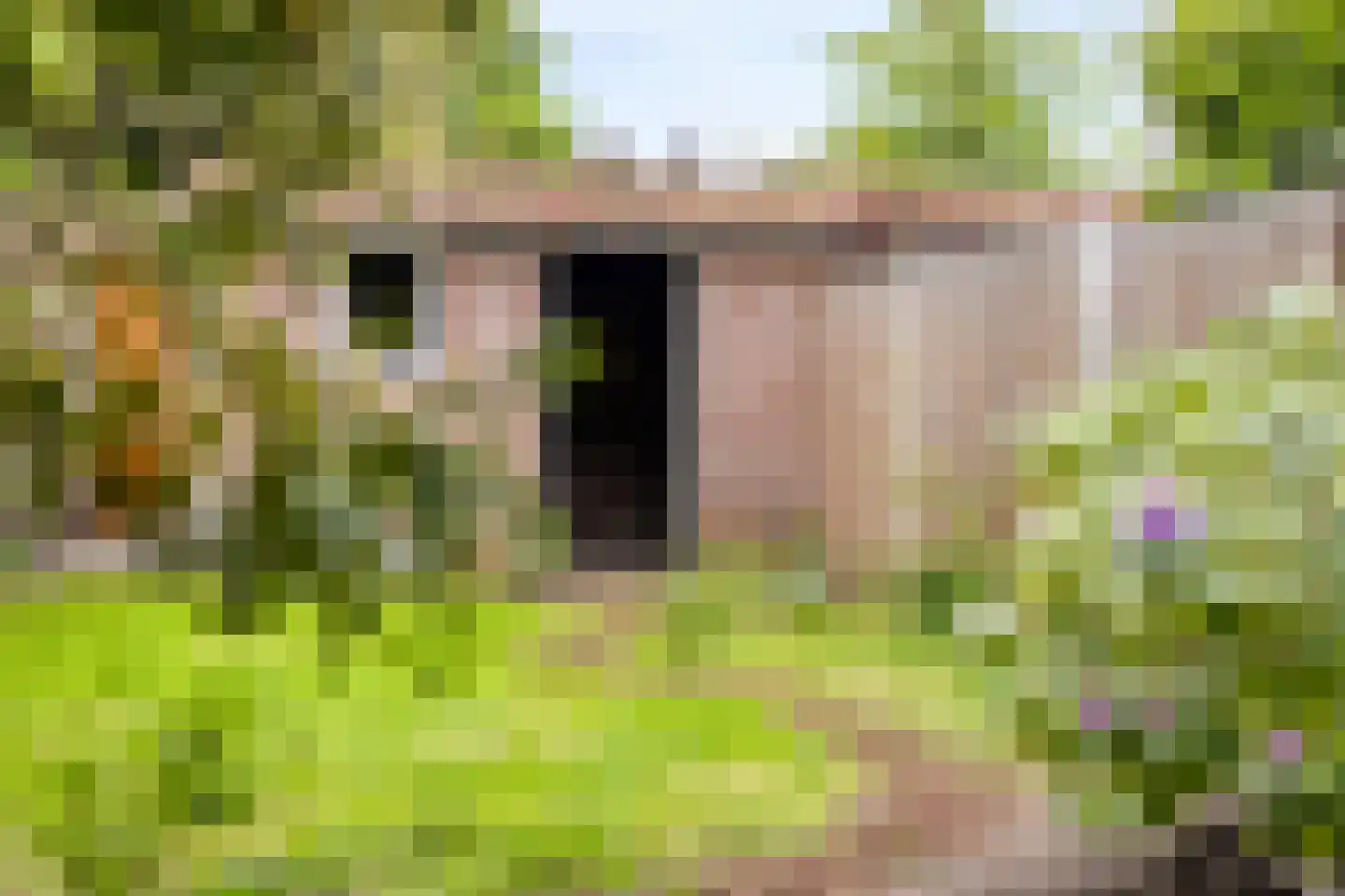 Rubinsteinlaan 43 Eindhoven thumbnail 40