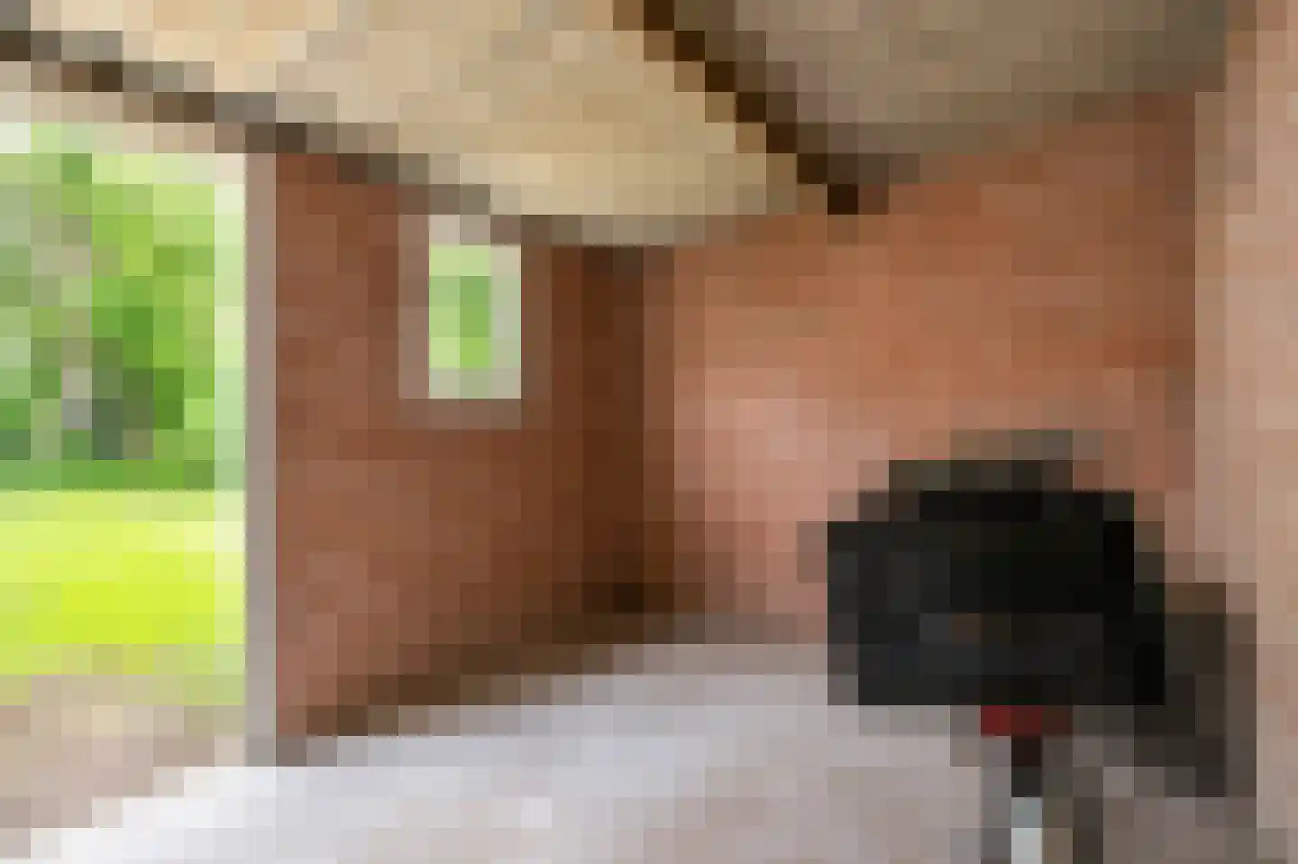Rubinsteinlaan 43 Eindhoven thumbnail 41