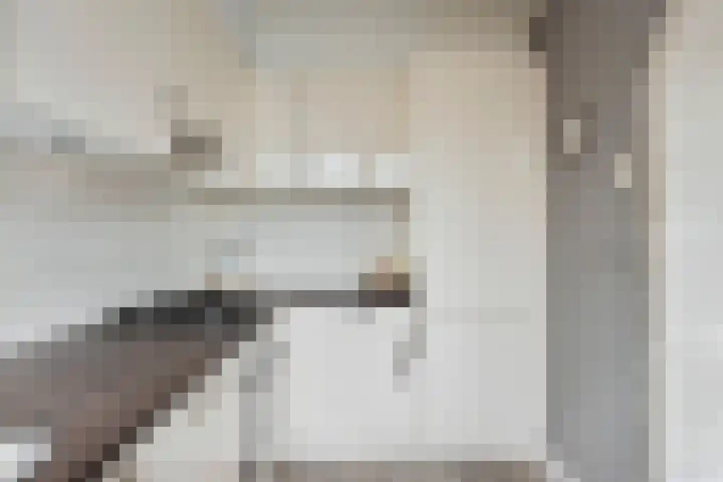 Rubinsteinlaan 47 Eindhoven thumbnail 23