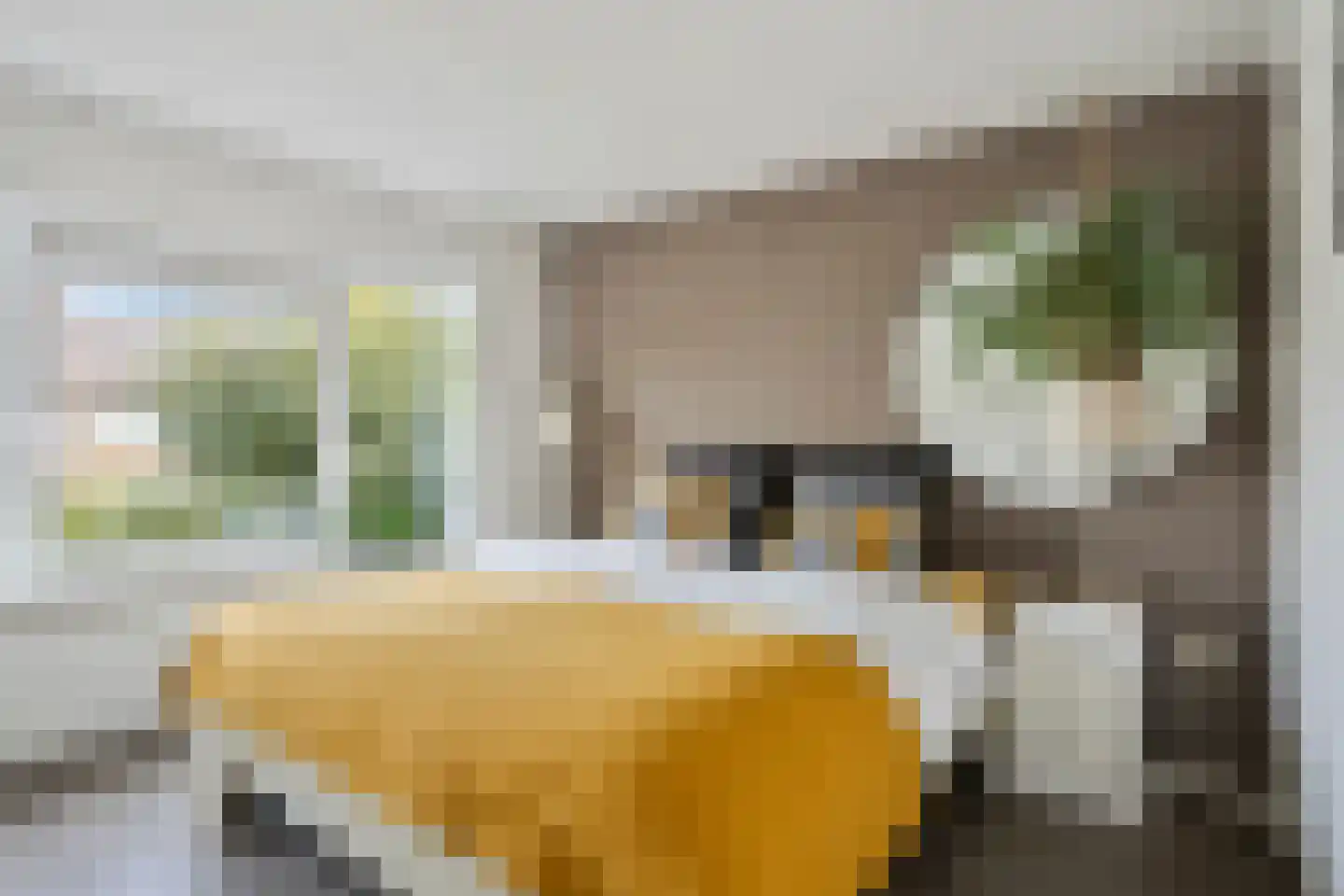 Rubinsteinlaan 47 Eindhoven thumbnail 27