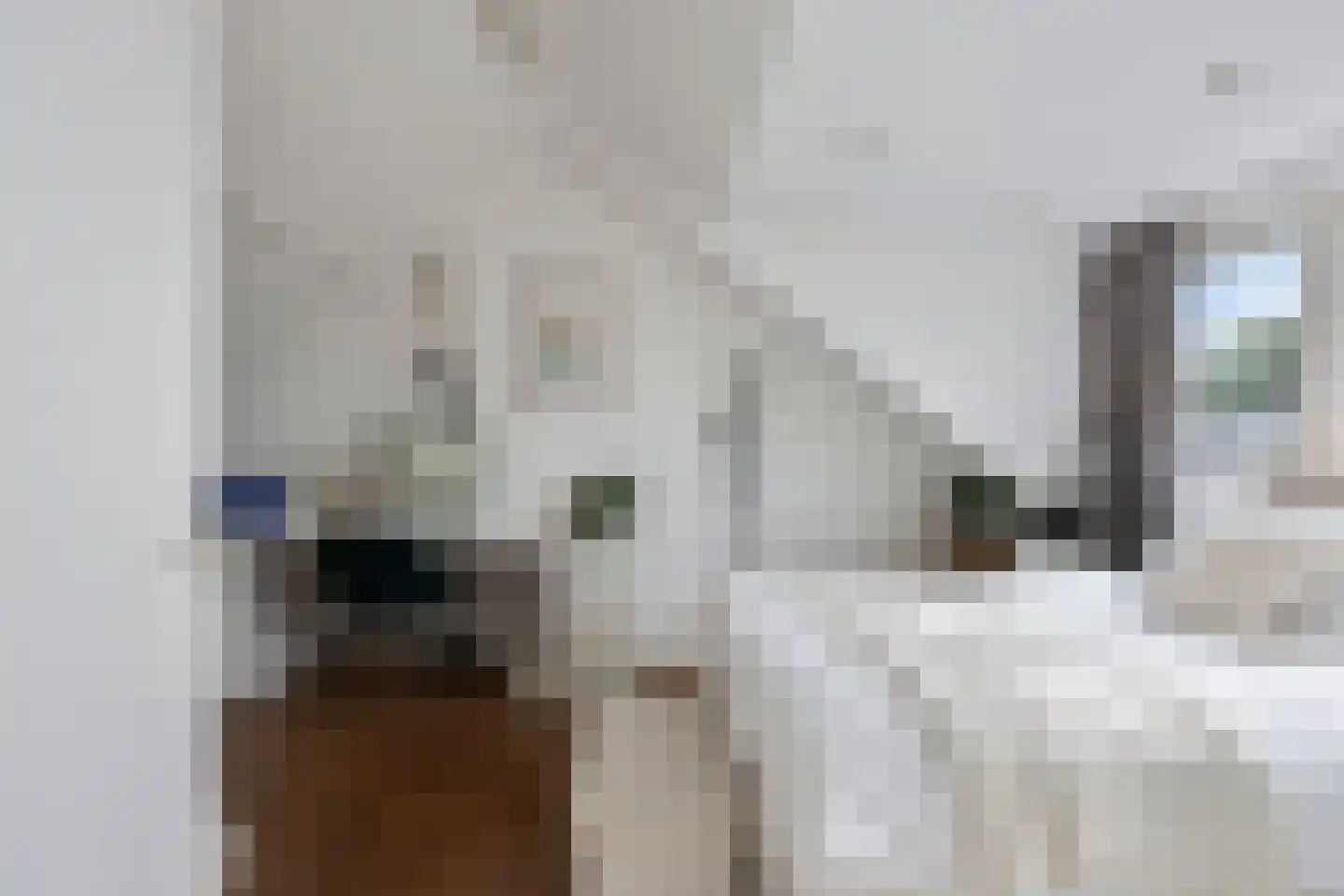 Rubinsteinlaan 47 Eindhoven thumbnail 35