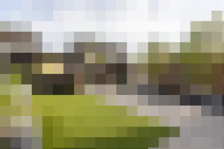 Rubinsteinplein 2 Oud-Beijerland thumbnail 18