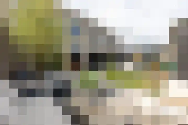 Rubinsteinplein 2 Oud-Beijerland thumbnail 19