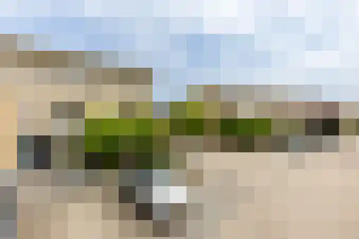 Rubinsteinplein 2 Oud-Beijerland thumbnail 34