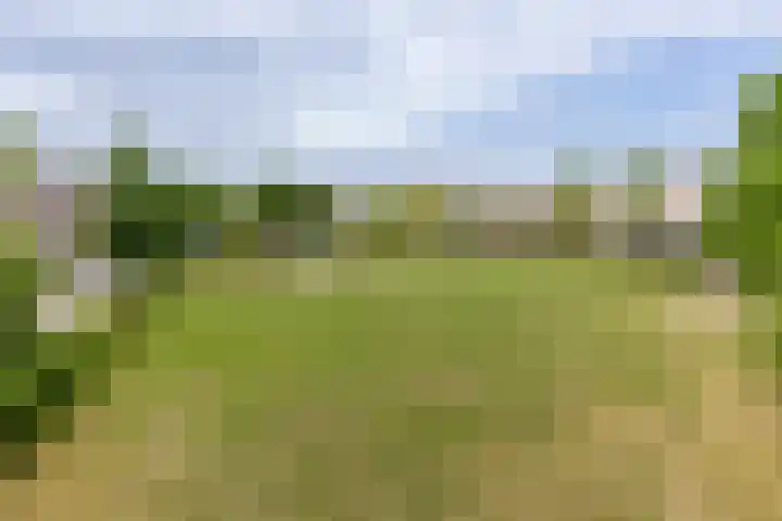Rubinsteinplein 2 Oud-Beijerland thumbnail 4