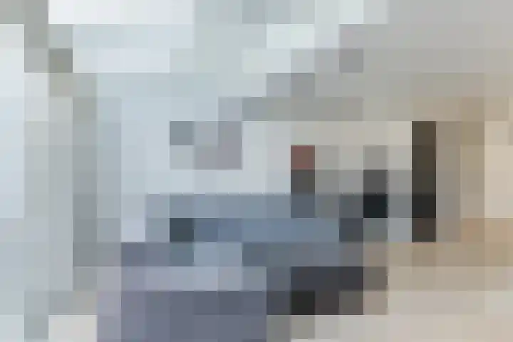 Rubinsteinstraat 176 Tilburg thumbnail 10
