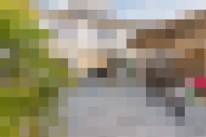 Rubinsteinstraat 176 Tilburg thumbnail 31