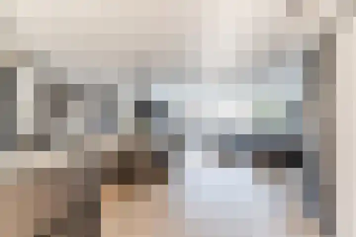 Rubinsteinstraat 176 Tilburg thumbnail 7