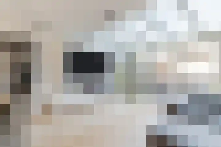 Rubinsteinstraat 176 Tilburg thumbnail 8