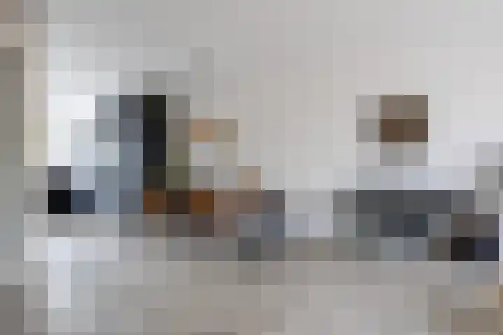 Rubrum 11 Akersloot thumbnail 13