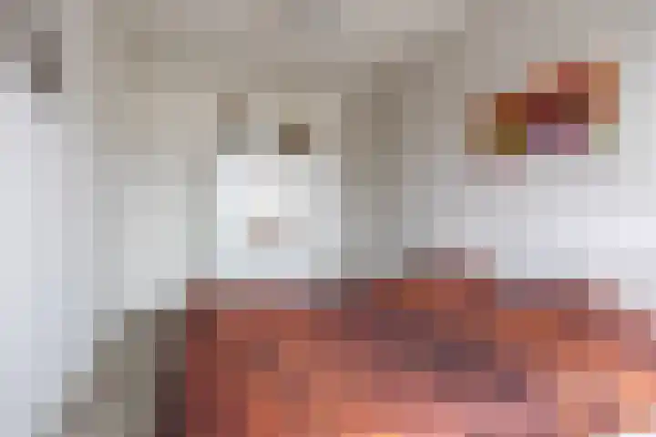 Rubrum 11 Akersloot thumbnail 22