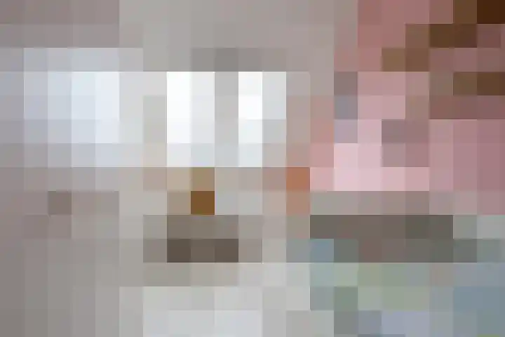 Rubrum 11 Akersloot thumbnail 23