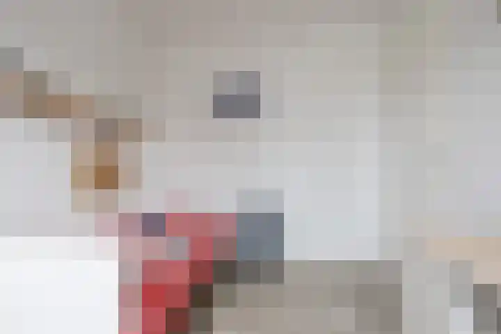 Rubrum 11 Akersloot thumbnail 27
