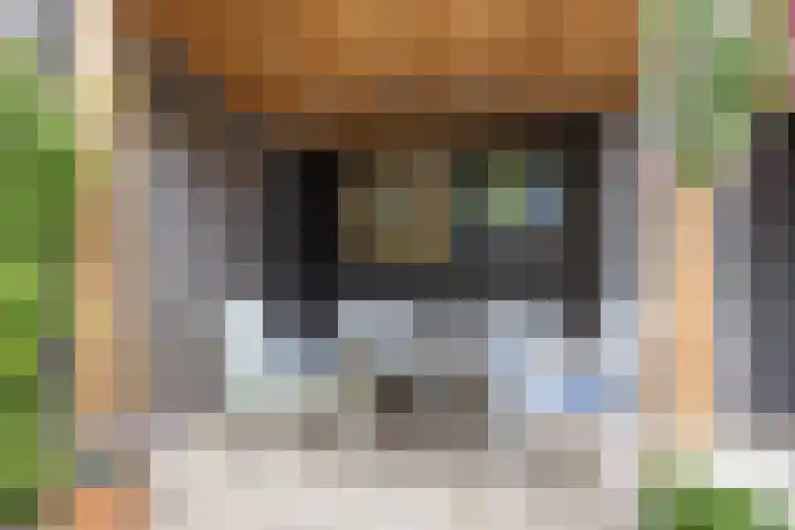Rubrum 11 Akersloot thumbnail 38