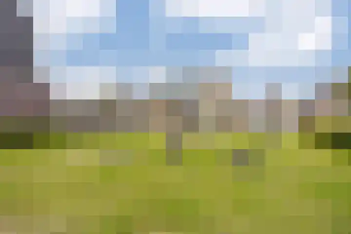 Rubrum 11 Akersloot thumbnail 44