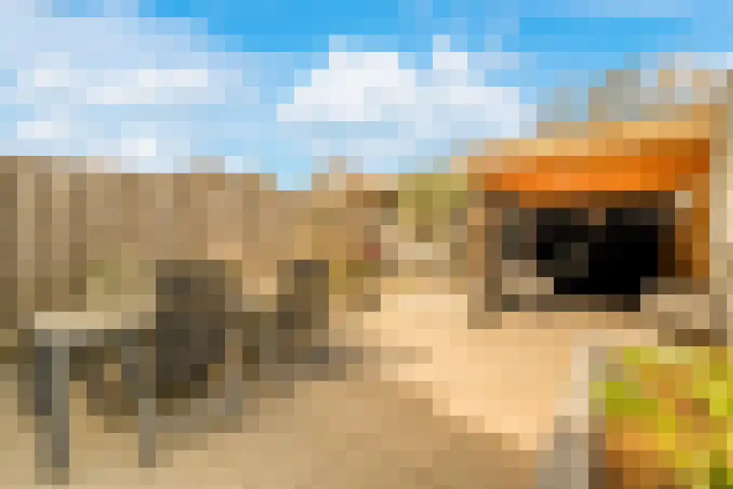 Rubrum 21 Akersloot thumbnail 41