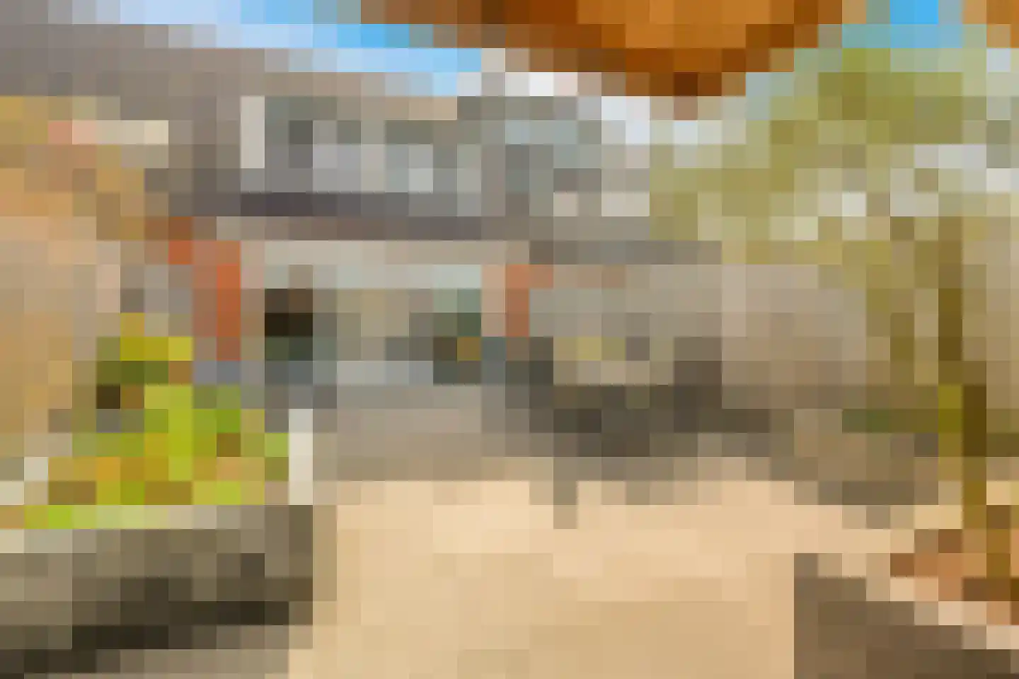 Rubrum 21 Akersloot thumbnail 43