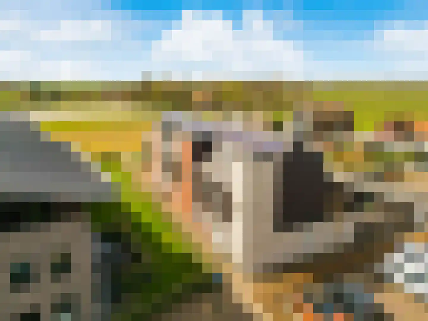 Rubrum 21 Akersloot thumbnail 5