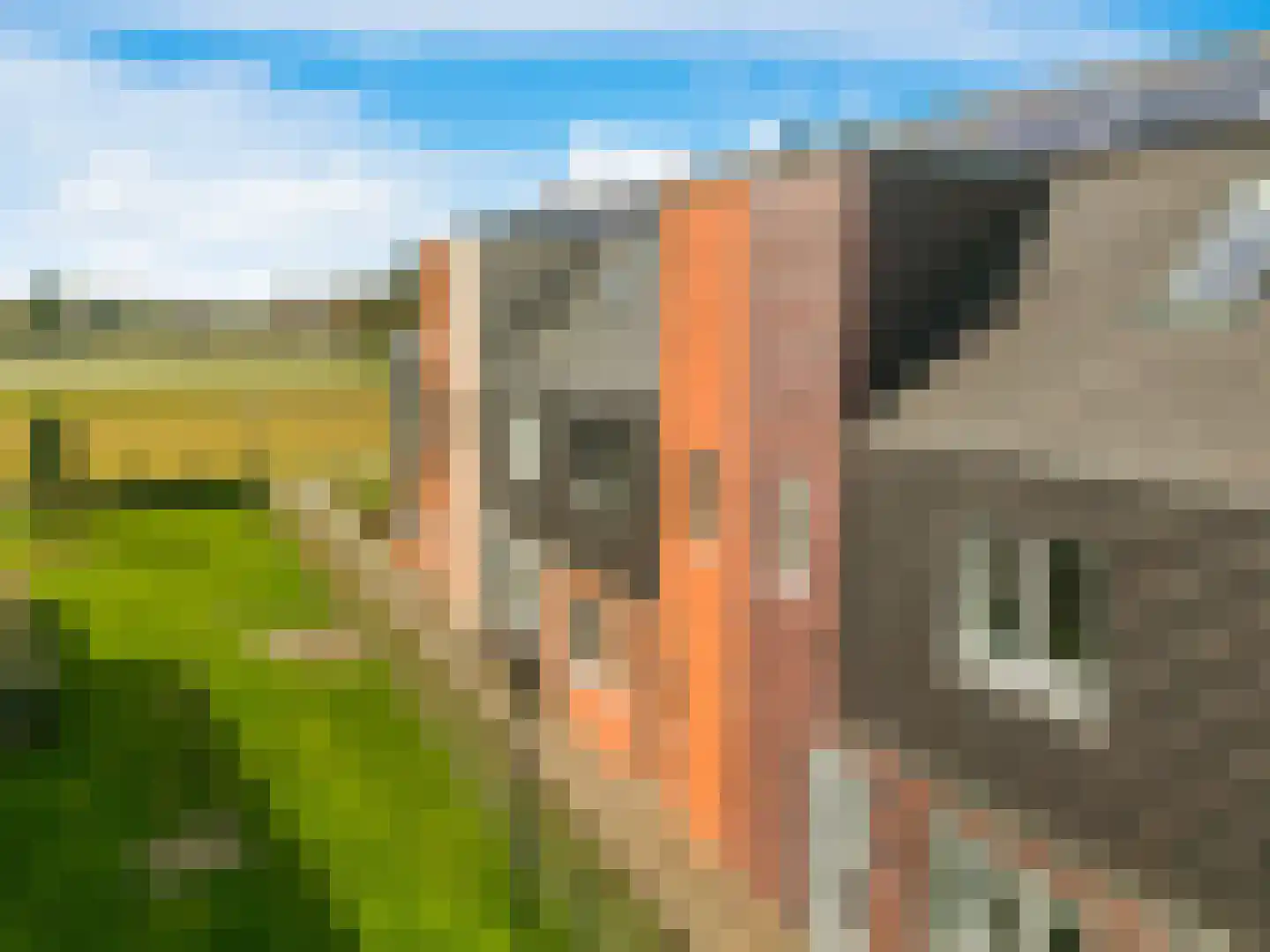 Rubrum 21 Akersloot thumbnail 6