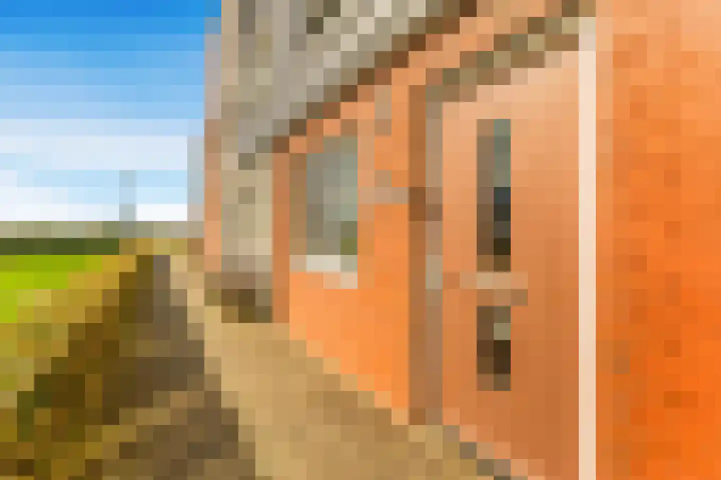 Rubrum 21 Akersloot thumbnail 9