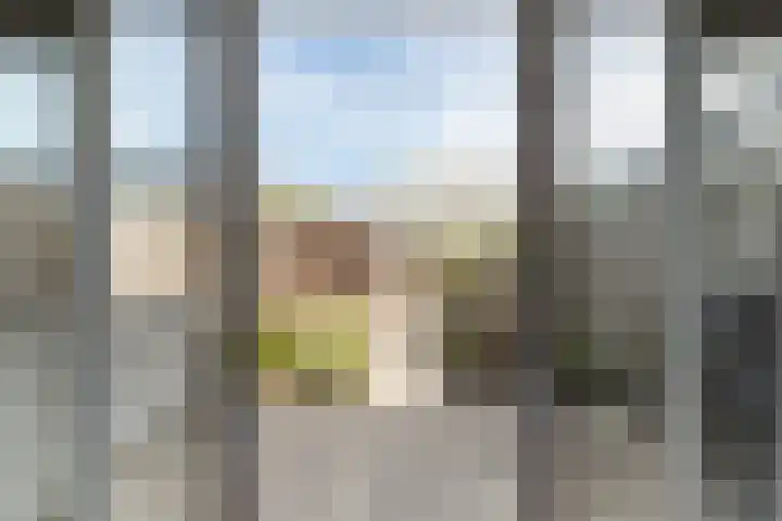 Rubrum 9 Akersloot thumbnail 10