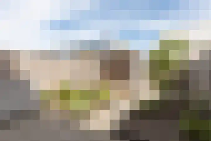 Rubrum 9 Akersloot thumbnail 34