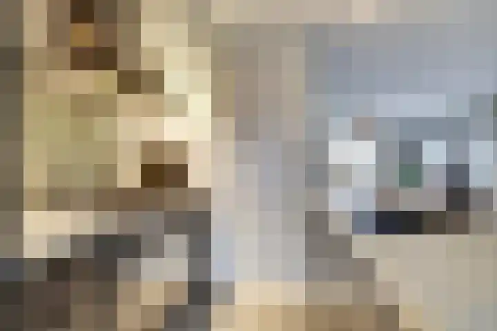 Rucphensebaan 1 E Sprundel thumbnail 15