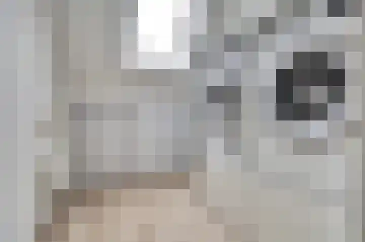 Rucphensebaan 1 E Sprundel thumbnail 23
