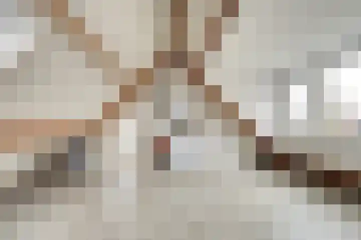 Rucphensebaan 1 E Sprundel thumbnail 28