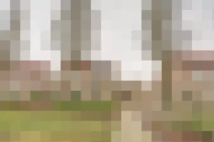 Rucphensebaan 1 E Sprundel thumbnail 35