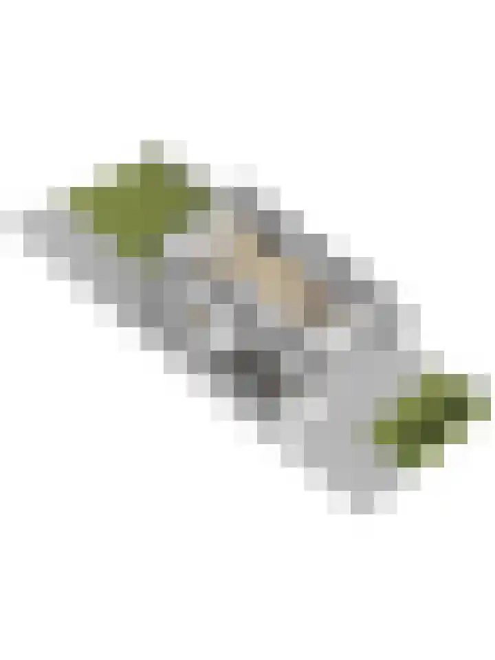 Rucphensebaan 1 E Sprundel thumbnail 37