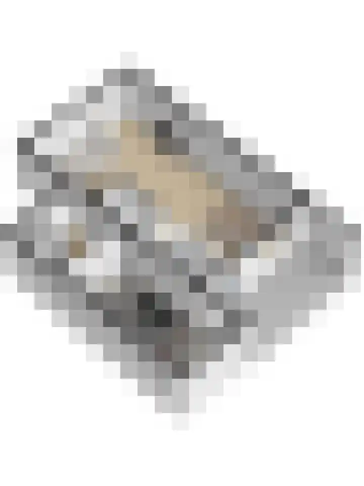 Rucphensebaan 1 E Sprundel thumbnail 39
