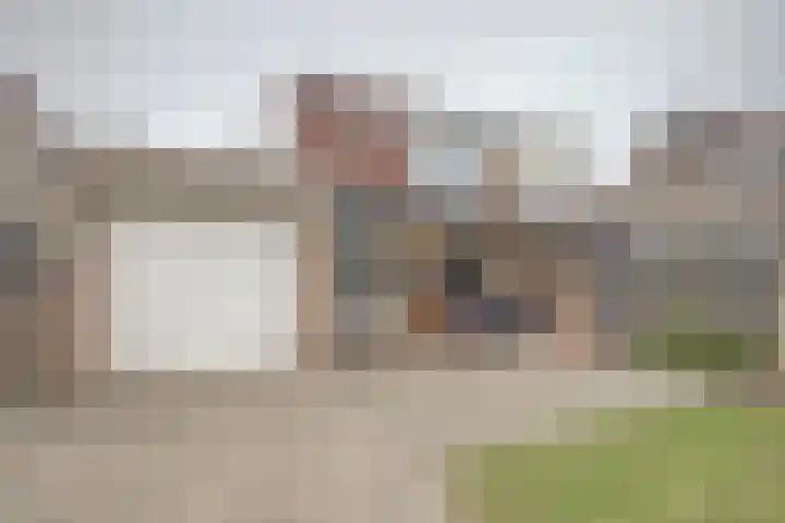 Rucphensebaan 1 E Sprundel thumbnail 4