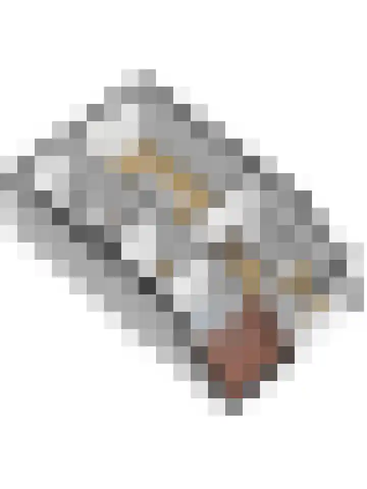 Rucphensebaan 1 E Sprundel thumbnail 41