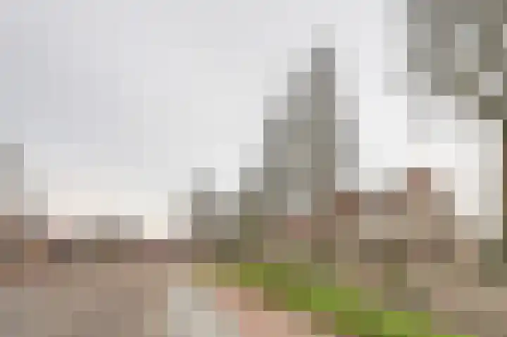 Rucphensebaan 1 E Sprundel thumbnail 5