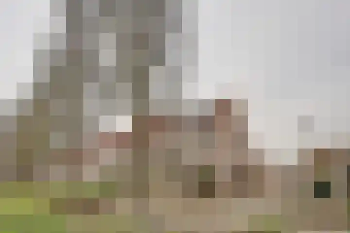 Rucphensebaan 1 E Sprundel thumbnail 6