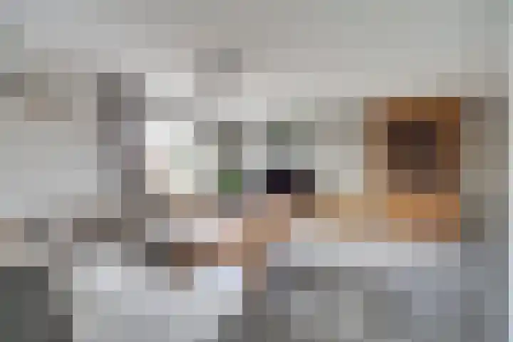Rucphensebaan 1 E Sprundel thumbnail 9
