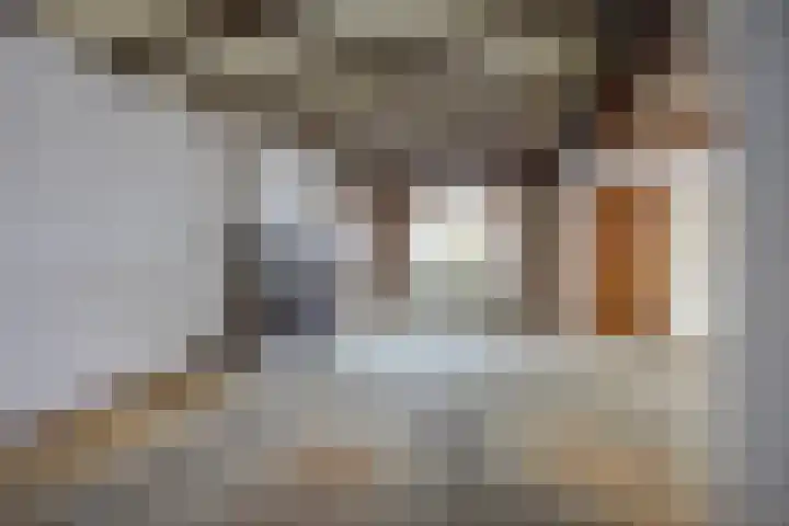Rucphensestraat 137 St. Willebrord thumbnail 7