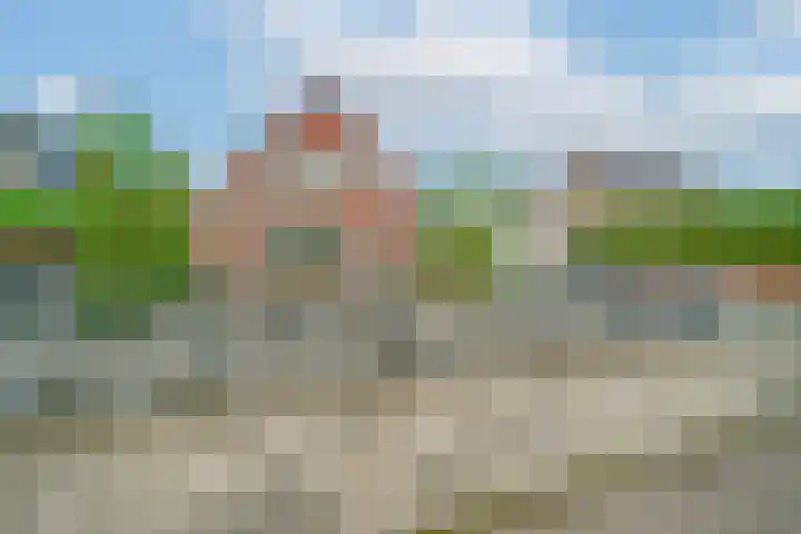 Rucphensestraat 4 St. Willebrord thumbnail 33