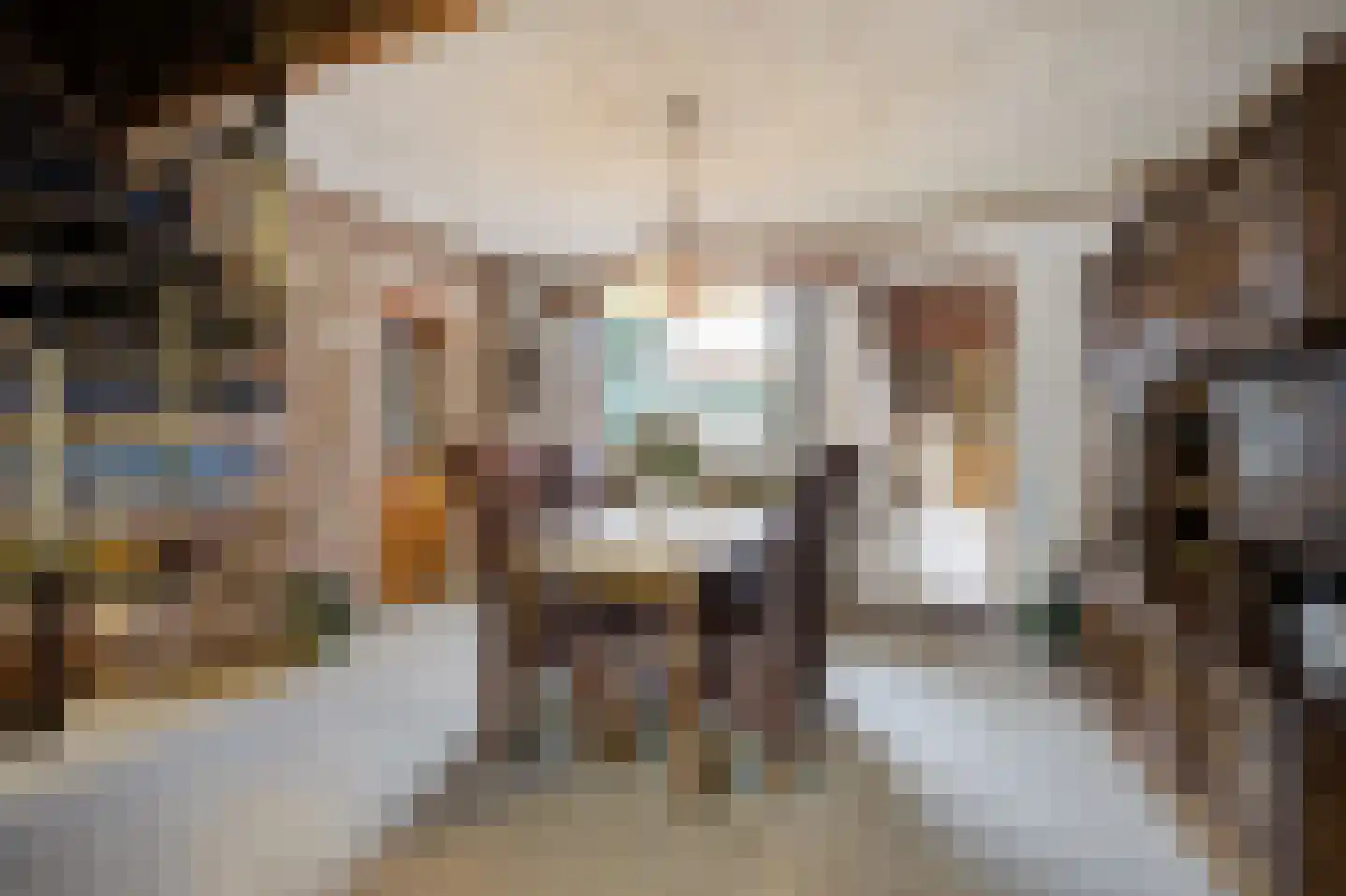 Rucphensestraat 66 St. Willebrord thumbnail 11