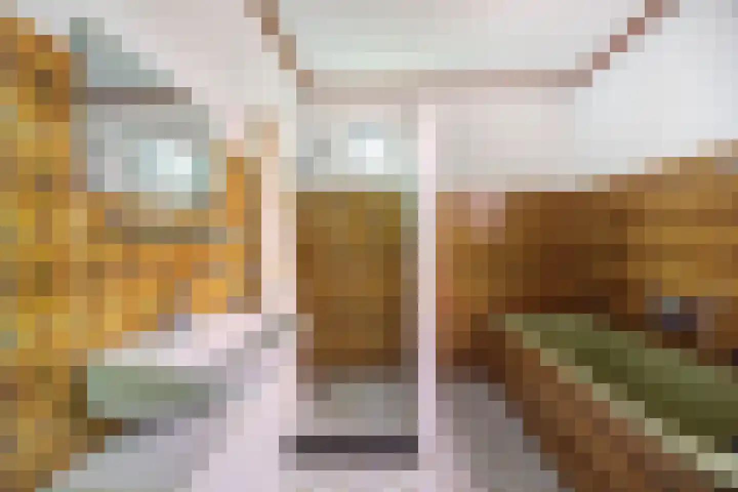 Rucphensestraat 66 St. Willebrord thumbnail 17