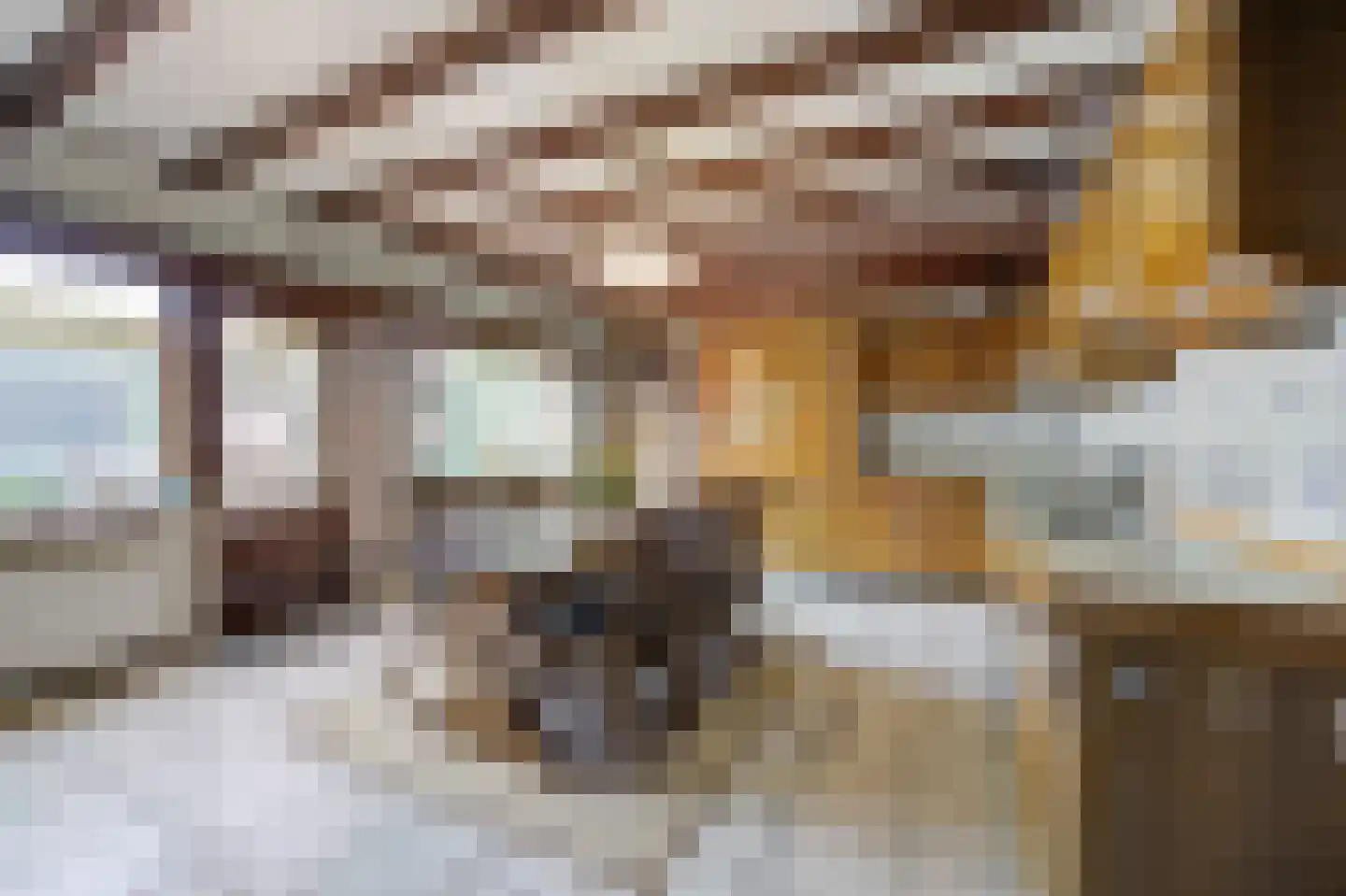 Rucphensestraat 66 St. Willebrord thumbnail 24
