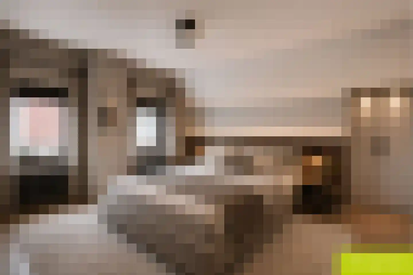 Rucphensestraat 66 St. Willebrord thumbnail 34